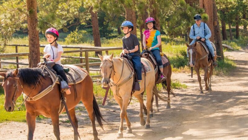 Kusadasi: Horse Riding Beach and Forest w/Transfer - A Closer Look at the Kusadasi Horse Riding Tour