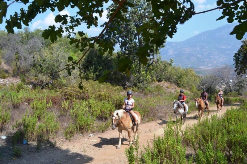 Kusadasi: Horse Riding Beach and Forest w/Transfer - What to Keep in Mind