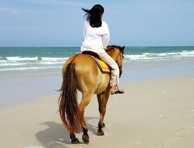 Kusadasi: Horse Riding Beach and Forest w/Transfer - Frequently Asked Questions