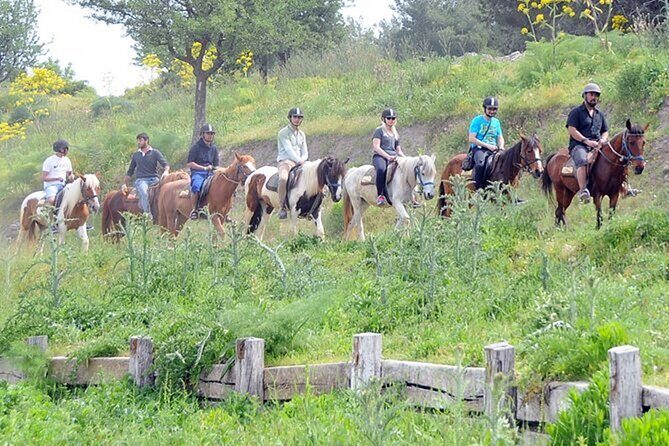 Kusadasi Horse Riding On Beach And Through The River - What the Reviews Say