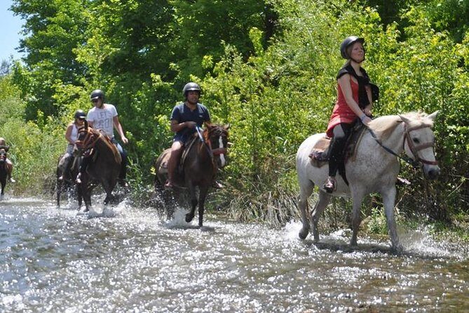 Kusadasi Horseback Riding - The Realities According to Reviews