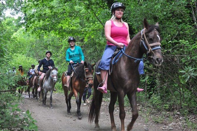 Kusadasi Horseback Riding - The Itinerary in Depth