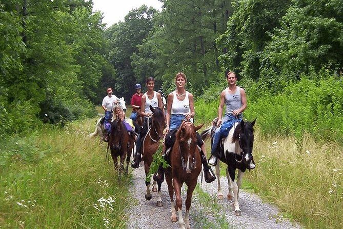 Kusadasi Horseback Riding - Additional Details and Tips
