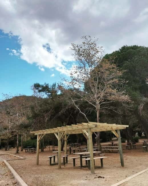 Kusadasi National Park Shinrin Yoku Tour - Key Points