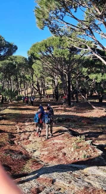 Kusadasi National Park Shinrin Yoku Tour - FAQ