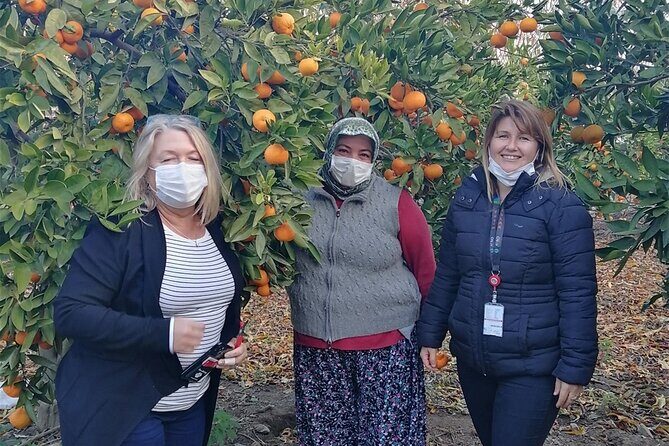 Kusadasi Port Private Ephesus Tour - Who Should Book This Tour?