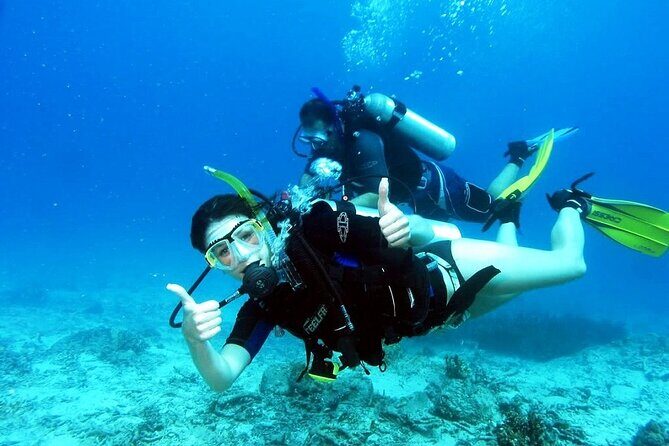 Kusadasi Scuba Diving - Why Choose This Experience?