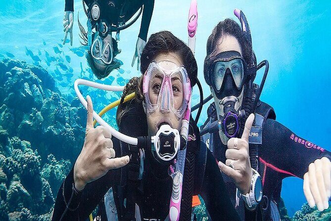 Kusadasi Scuba Diving - What’s the Itinerary Like?