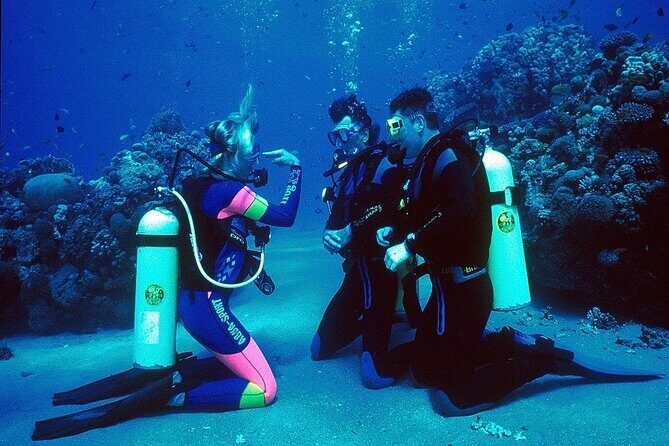 Kusadasi Scuba Diving - Price and Value