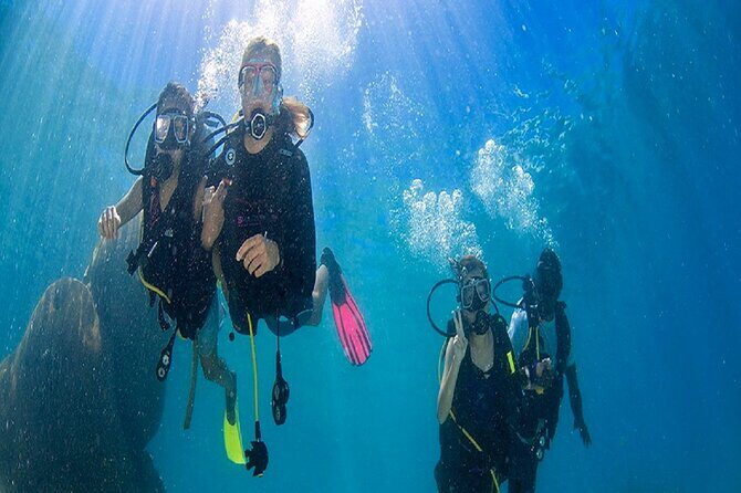 Kusadasi Scuba Diving - The Experience from Others