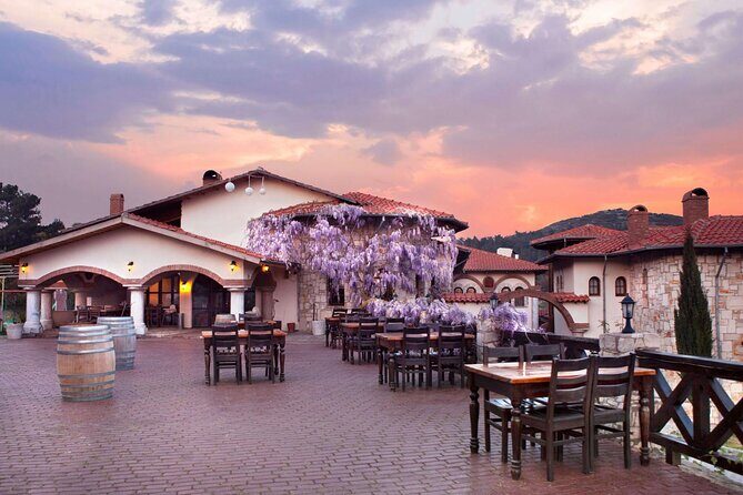 Kusadasi Shore Excursions Ephesus and Wine Tasting Tours - A Closer Look at the Itinerary