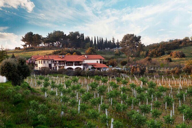 Kusadasi Shore Excursions Ephesus and Wine Tasting Tours - Authentic Traveler Feedback