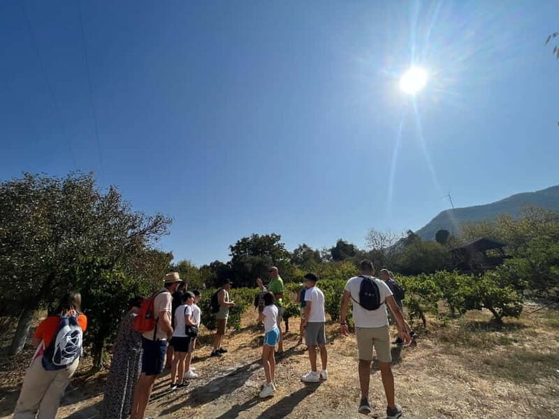 Kusadasi Village Tour & Traditional Food Tasting - Who Should Consider This Tour?