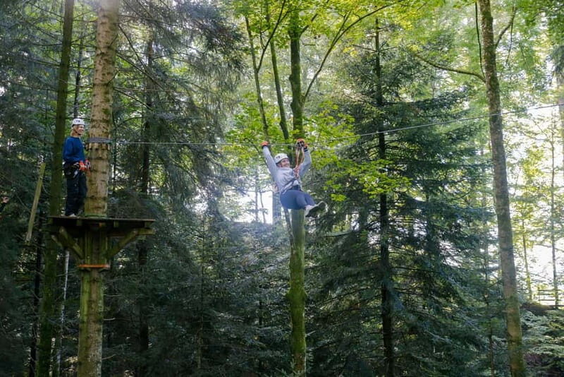 Küssnacht: Ropes Park Rigi Climbing Adventure with Entry Ticket - Duration and Planning