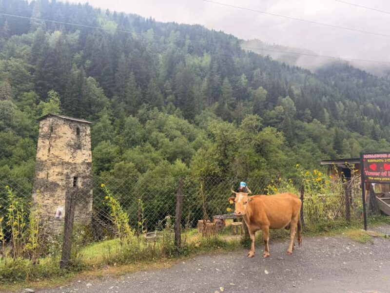 Kutaisi: Private 2 or 3-Day Svaneti Tour - Key Points