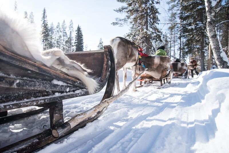 Kuusamo: Reindeer Sleigh Ride and Farm Visit - An Inside Look at the Kuusamo Reindeer Experience