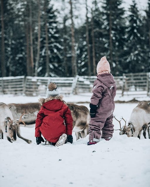 Kuusamo: Reindeer Sleigh Ride and Farm Visit - The Bottom Line