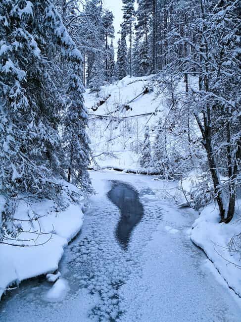 Kuusamo/Rovaniemi: Korouoma with biologist/photographer - The Hike and Its Challenges