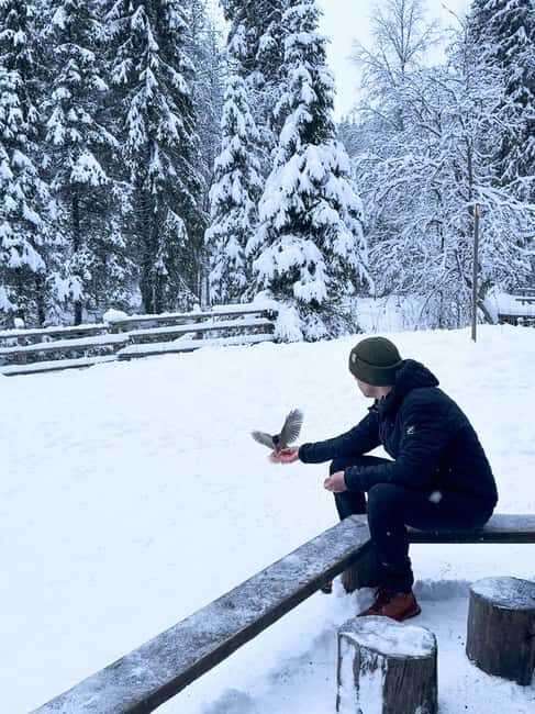 Kuusamo/Rovaniemi: Korouoma with biologist/photographer - End of the Day: Return and Reflection