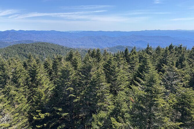 Kuwohi Mountain Great Smoky Mountains Tour - Exploring the Itinerary: What to Expect Each Step of the Way