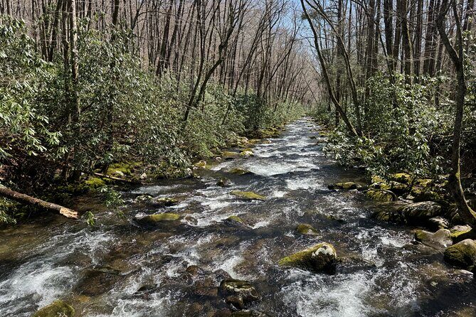 Kuwohi Mountain Great Smoky Mountains Tour - Final Thoughts