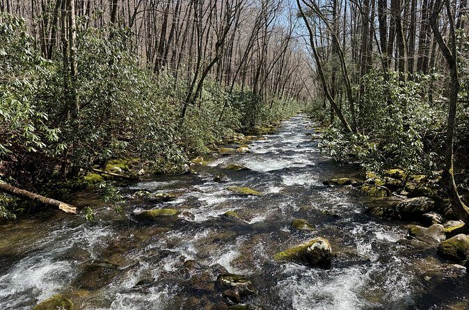 Kuwohi Mountain Great Smoky Mountains Tour - FAQ