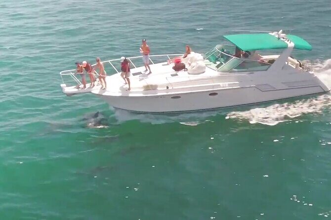 LA: Birthday Special Private Yacht (1 ticket covers 1-6 people) - Final Thoughts