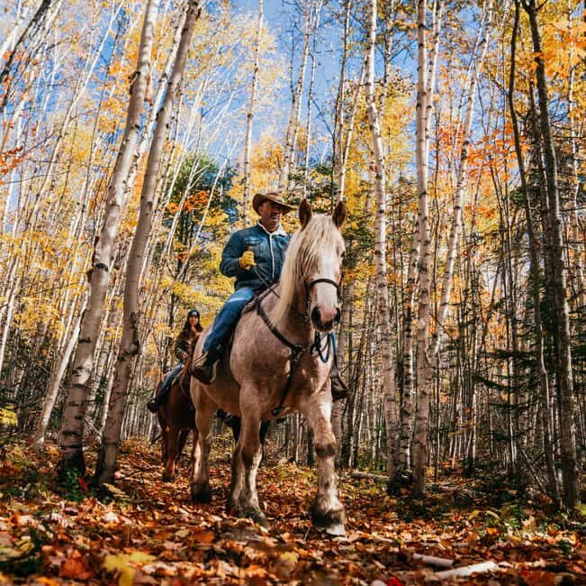 La Bleuetière: A charming introduction to horseback riding - The Experience: What to Expect on Your Trail Ride
