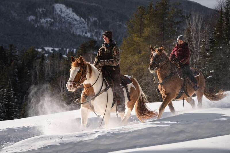 La Bleuetière: A charming introduction to horseback riding - Who Would Love This?
