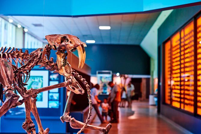 La Brea Tar Pits and Museum Admission Ticket with Excavator Tour - The Real Value of This Experience