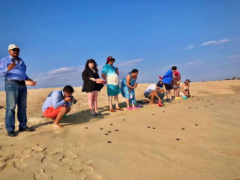 La Crucecita: Magic Lagoon Bioluminescence and Turtles Tour - Key Points