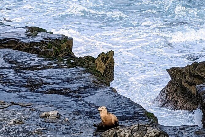 LA Day Trips to Casinos, Palm Springs, San Diego, Santa Barbara - A Detailed Look at the Experience