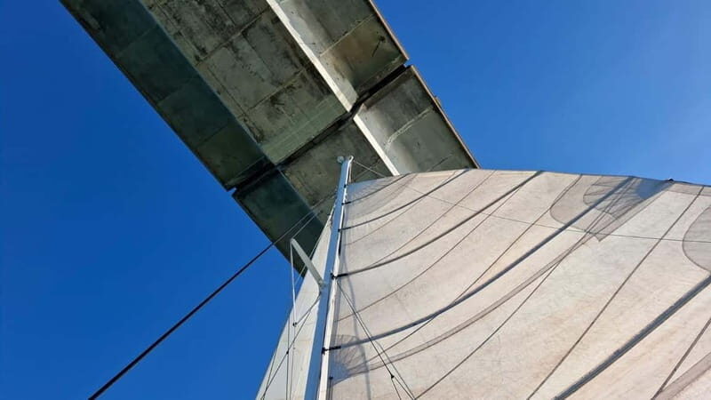 La Flotte en Ré - 4 hrs Sailing Catamaran Half-Day Cruise - The Experience Itself