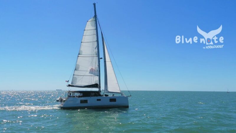 La Flotte, Ile de Ré: Sailing Catamaran Cruise - Analyzing the Price and Its Value