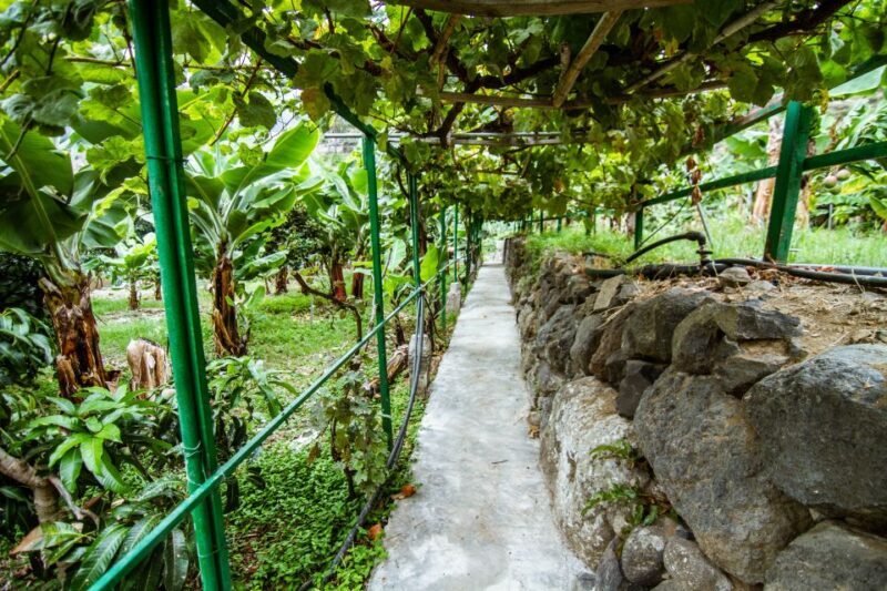 La Gomera: Entry Ticket for The Ethnographic Park - Who Should Consider This?