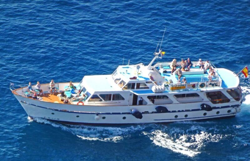La Gomera: Whale Watching Tour on an Vintage Boat - The Heart of the Tour: What to Expect