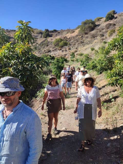 La Herradura Coffee Farm: tour in Europe's only plantation - Key Points