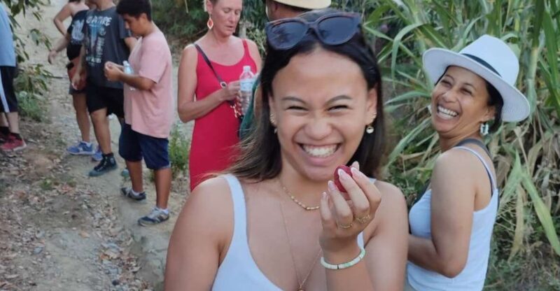 La Herradura Coffee Farm: tour in Europe's only plantation - What to Expect from the La Herradura Coffee Farm Tour