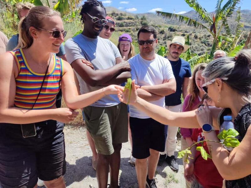 La Herradura Coffee Farm: tour in Europe's only plantation - FAQ