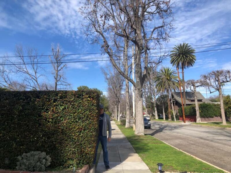 LA: Horror Film Locations Tour - Who Will Love This Tour?