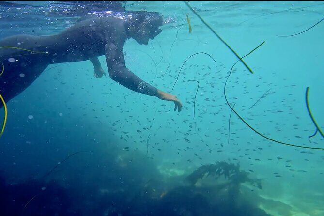 La Jolla Kayak and Snorkel Tour - Authentic Experiences from Real Travelers