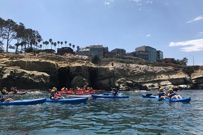La Jolla Sea Caves Kayak Tour (Single Kayak) - What to Expect From the La Jolla Sea Caves Kayak Tour