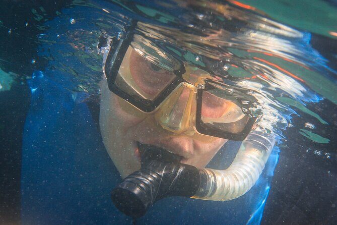 La Jolla Snorkel with the Leopard Sharks - Final Thoughts