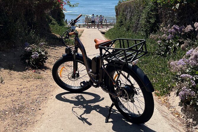 La Jolla's Best Coastal Electric Bike Tour - Final Thoughts