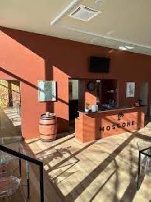 La Madama: A Journey through Piedmont's Tradition and Wines - Key Points