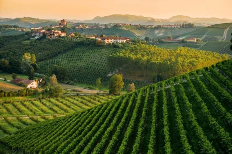 La Madama: A Journey through Piedmont's Tradition and Wines - Who Should Consider This Tour