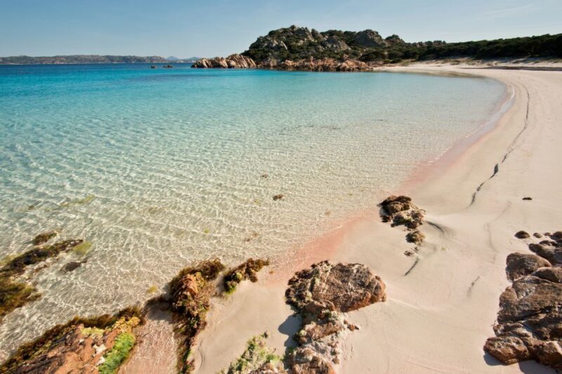 La Maddalena: afternoon snorkeling tour from Porto Pollo - Final Thoughts: Who Is This Tour Best For?