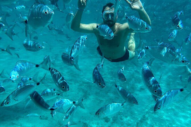 La Maddalena Archipelago Catamaran Day Tour - Value and Cost Analysis