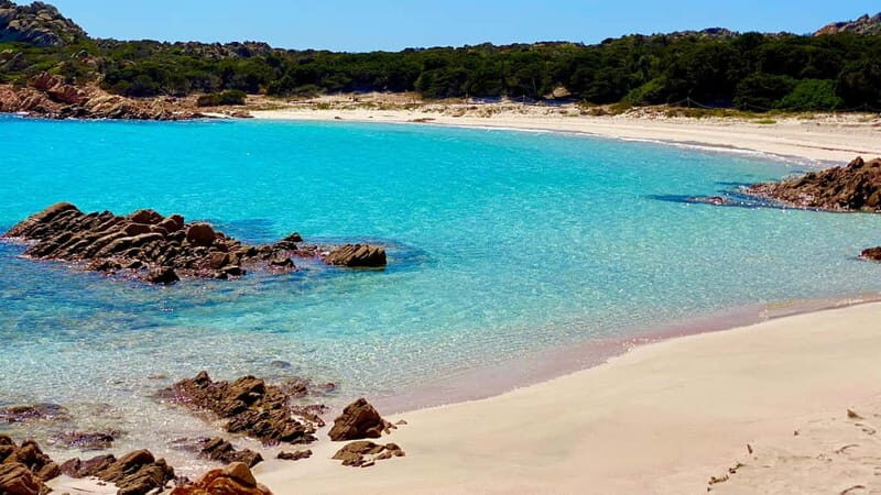 La Maddalena Arcipelago: Sailing boat tour with lunch - Final Thoughts: Who Is This Tour Best For?