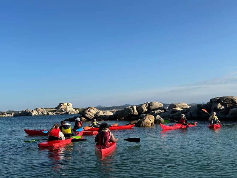 La Maddalena: Kayak Tour with Guide - Key Points